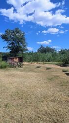 ��������� ������� � �. ������. (�������������). ���� 5