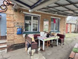 ������ ������� ���� 12