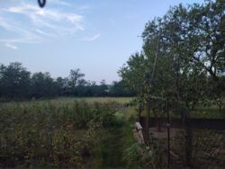 ��������� ������� ������� � �. ������ ���� 7