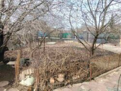 ������ ������� ���� 5