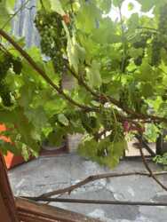 ��������� �������� ������� �� �, �����. ���� 19