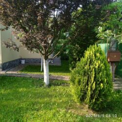 Продається будинок с. Созонівка (Опитне поле), 4км від м.Кропивницький. фото 7 Продається будинок с. Созонівка (Опитне поле), 4км від м.Кропивницький. фото 7