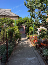 ������ ������� �� ������� ����� ���� 5