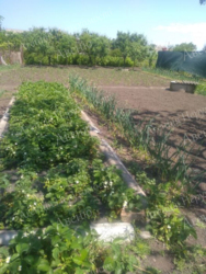 ������ ������� �� �������. ���� 4