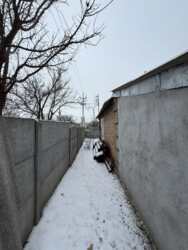 ������ ������� �� ����� ��������� ���� 2