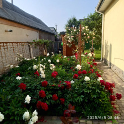 Продається будинок с. Созонівка (Опитне поле), 4км від м.Кропивницький. фото 8 Продається будинок с. Созонівка (Опитне поле), 4км від м.Кропивницький. фото 8