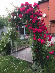 ������ ���� � ������ ������ ���� 5