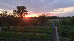 Продаж житловий будинок село Обознівка. фото 4 Продаж житловий будинок село Обознівка. фото 4