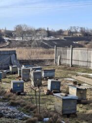 �������ʳ������������� �����. ���� 13