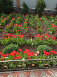 Продам дом 10км от Кропивницкого фото 3 Продам дом 10км от Кропивницкого фото 3