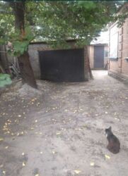 Пропонується до продажу будинок на Бєляєва фото 9 Пропонується до продажу будинок на Бєляєва фото 9