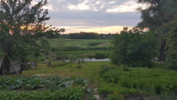 Продаж житловий будинок село Обознівка. фото 3 Продаж житловий будинок село Обознівка. фото 3