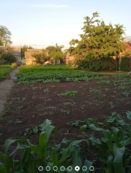 Продаж будинка район Нова Балашівка фото 4 Продаж будинка район Нова Балашівка фото 4