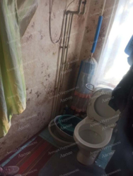 ������ ����� ���� �� ���������� ���� 17