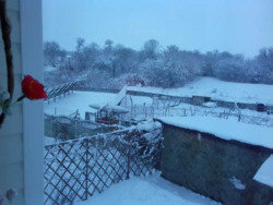 Затишний будинок в передмісті Кропивницького фото 9 Затишний будинок в передмісті Кропивницького фото 9