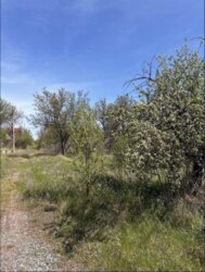 Продаж дачних ділянок в кооперативі Катеринівка 2га лінія фото 2 Продаж дачних ділянок в кооперативі Катеринівка 2га лінія фото 2