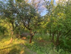 ������ ���� ������. ���� 6