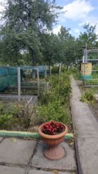 Продається будинок (дача) р-н Велика Балка фото 7 Продається будинок (дача) р-н Велика Балка фото 7