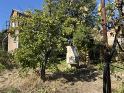 Продам дачу в СТ 'Будівельник' фото 16 Продам дачу в СТ 'Будівельник' фото 16