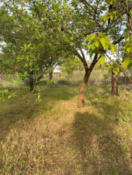 ПРОДАМ ПРИВАТНИЙ БУДИНОК В КООПЕРАТИВІ «ЯТРАНЬ» фото 8 ПРОДАМ ПРИВАТНИЙ БУДИНОК В КООПЕРАТИВІ «ЯТРАНЬ» фото 8