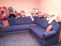 Продається частина будинку на Кущівці фото 6 Продається частина будинку на Кущівці фото 6