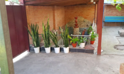 Продається будинок Комарова вул., Кропивницький , Кіровоградська, Критий ринок фото 4 Продається будинок Комарова вул., Кропивницький , Кіровоградська, Критий ринок фото 4