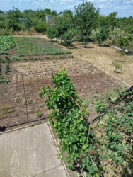 ������ ���� | �� ������������ ���� 11