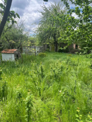 Продаж дачі ст Будівельник (Лелеківка) фото 11 Продаж дачі ст Будівельник (Лелеківка) фото 11