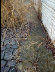 Продаж будинка у с.Байраки фото 18 Продаж будинка у с.Байраки фото 18