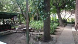 Продаж половини будинку в центрі міста фото 9 Продаж половини будинку в центрі міста фото 9