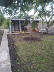 ������ ���� ������ ������� �����������. ���� 5