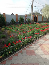 Продам дом 10км от Кропивницкого фото 5 Продам дом 10км от Кропивницкого фото 5