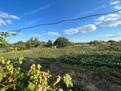 ������ ������������� ������� ������ ����. ���� 9