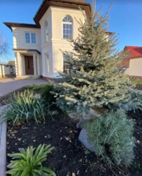 Продаж будинка с. Бережинка фото 4 Продаж будинка с. Бережинка фото 4