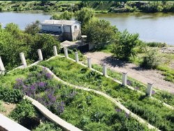 ������ ������� ������� �� �������� ���� 5