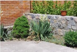 ������ ������� ����� ��������� ���� 4