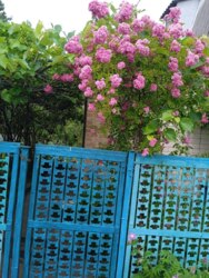 ������ ���� ���� ������ ���� 6