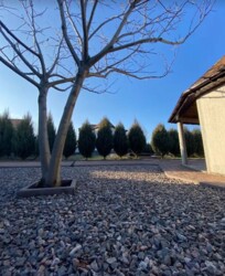 Продаж будинка с. Бережинка фото 2 Продаж будинка с. Бережинка фото 2