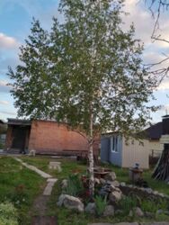 Продаж будинка район Пивзавод фото 8 Продаж будинка район Пивзавод фото 8