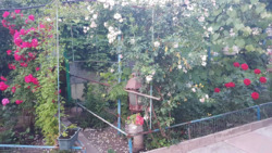 Продаж житловий будинок село Обознівка. фото 5 Продаж житловий будинок село Обознівка. фото 5