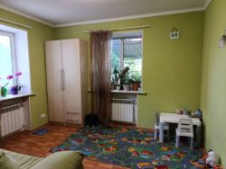 Будинок з укриттям на початку Лелеківки. фото 3 Будинок з укриттям на початку Лелеківки. фото 3