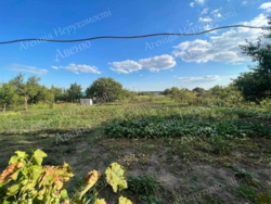 ������ ������������� ������� ������ ����. ���� 2