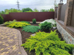 Продається гарний укомплектваний будинок на Соколівці( Жадова). фото 4 Продається гарний укомплектваний будинок на Соколівці( Жадова). фото 4