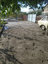 ������ ���� ������ ������� �����������. ���� 24