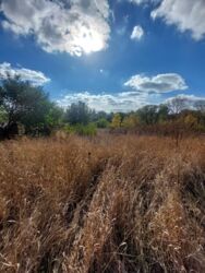 Продам будинок село Бережинка фото 3 Продам будинок село Бережинка фото 3