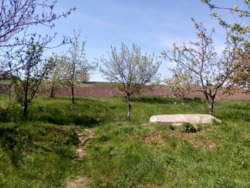 СРОЧНО! Продам будинок у селі Аджамка, Кіровоградська область фото 18 СРОЧНО! Продам будинок у селі Аджамка, Кіровоградська область фото 18