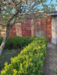 ������ ���� � �� ������. ���� 9