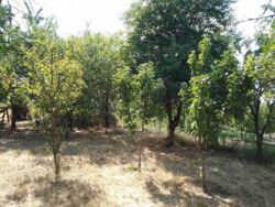 🏡 Продаж двоповерхового будинку в м. Кропивницький! фото 5 🏡 Продаж двоповерхового будинку в м. Кропивницький! фото 5