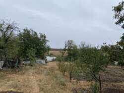 ������ ������� ��� ����. ���� 21