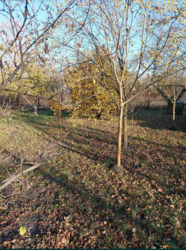 ������ ���� � ��� ������� 3000 ���� 6